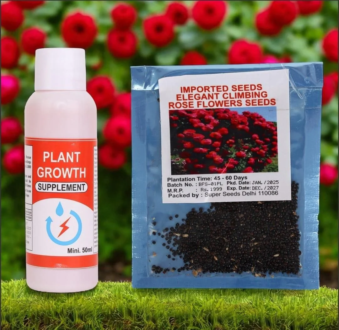 Rose Flower Seeds - Image 3